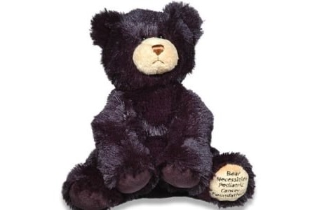 Walk for the Bear cancer fundraiser